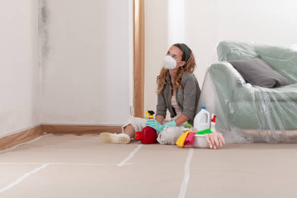 Reliable Mold Removal contractor in Cream Ridge, NJ by WQB Mold Removal